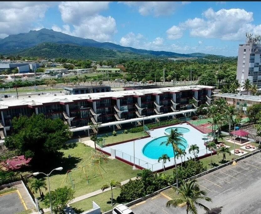 Relaxing Studio Near El Yunque With Pool View Luquillo Extérieur photo